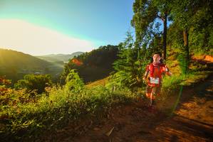 BIB: 
                            <button type="button" onclick="openModal(19168924)" class="btn btn-primary btn-sm float-right btn-popup" data-toggle="modal" data-target=".modal-high-quality">
                        <i class="fas fa-shopping-cart"></i> Add to Cart
                    </button>
                                            <button type="button" onclick="isThisMe(19168924, true)" class="btn btn-success btn-sm float-right btn-popup btn-isme hidden" data-toggle="tooltip" data-placement="bottom" title="นี่คือรูปของคุณใช่ไหม คลิกที่นี่เพื่อเอาเข้าอัลบั้ม">
                        <i class="fas fa-plus"></i> Add to album
                    </button>
                    <button type="button" onclick="isThisMe(19168924, false)" class="btn btn-warning btn-sm float-right btn-popup btn-isnotme hidden">
                        <i class="fas fa-ban"></i> Remove from album
                    </button>